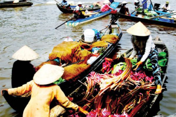 Special feature of the Mekong Delta’s culture, Phung Hiep floating market