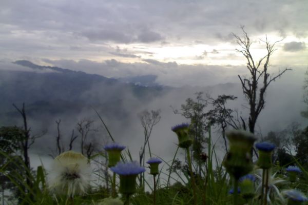 Sin Ho town - "the second Sapa” of the northwest.