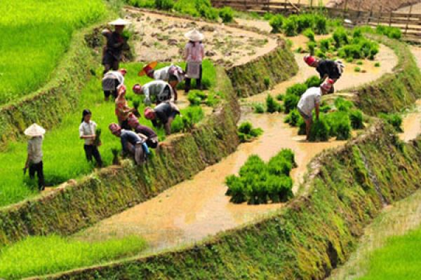 The neglected beauty of H'mong mountain villages