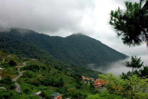 Tam Dao National Park - green lung of Vinh Phuc province
