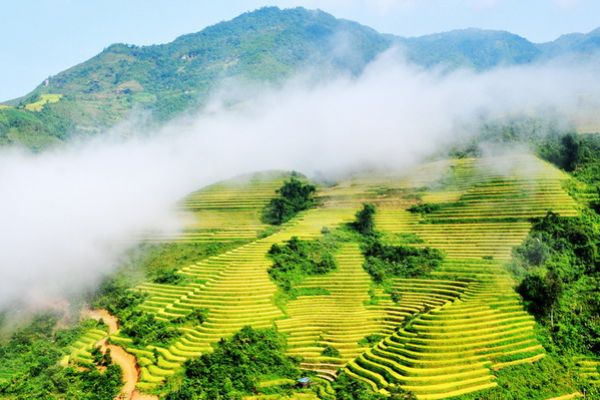 Terraced field, a masterpiece of the nature