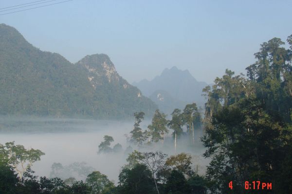 Xuan Son National Park- A New Eco-tourism Site Waiting for Exploration of Tourists in Vietnam Travel