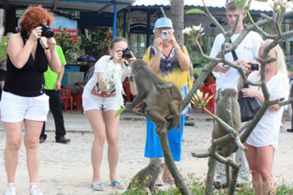 Go sightseeing on Monkey Islet