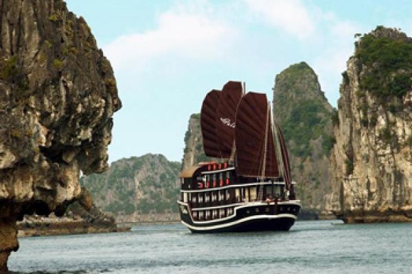 More than 230 Cruise Ships attached with GPS Navigators in Ha Long Bay