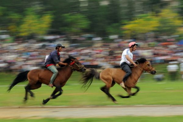 Horse race festival stirs up Bac Ha District
