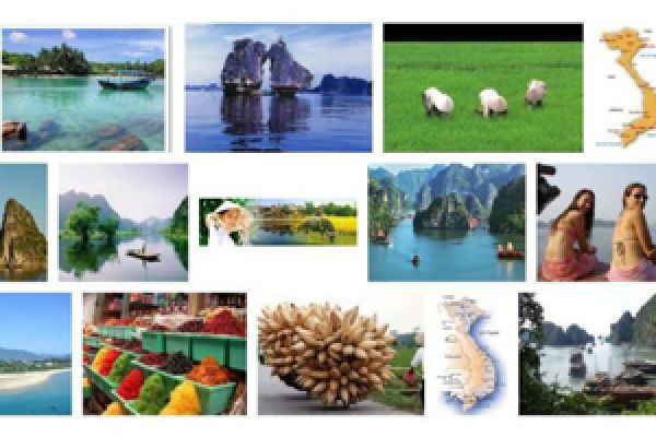 Vietnam promotes responsible tourism 