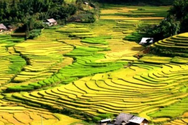 Vietnam's natural beauty on BBC