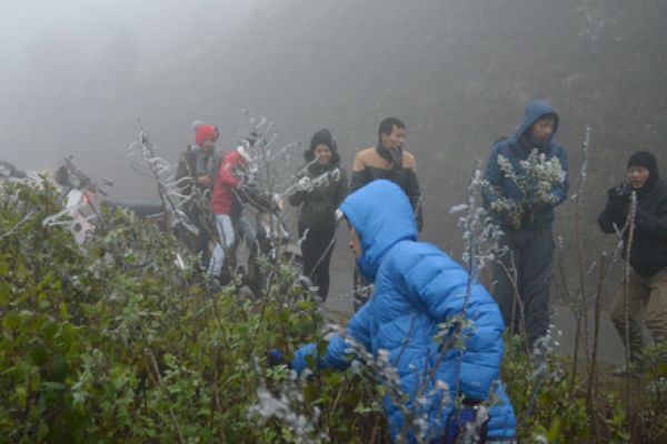 Young people run to Sapa to see snow