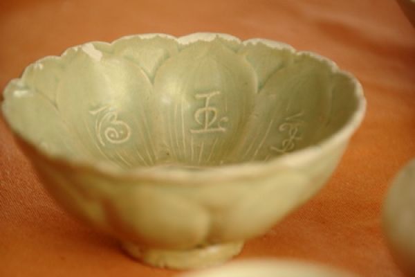 Culture in a bowl 