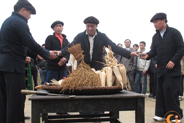 Gau Tao – A special feature of Mong culture 
