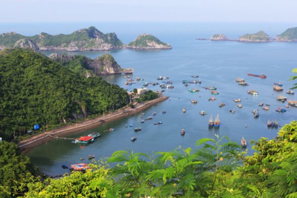 Haiphong champions Cat ba as the world heritage site
