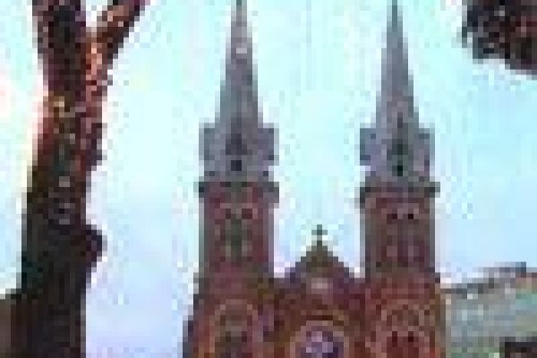 Notre Dame Cathedral shines brightly in southern city