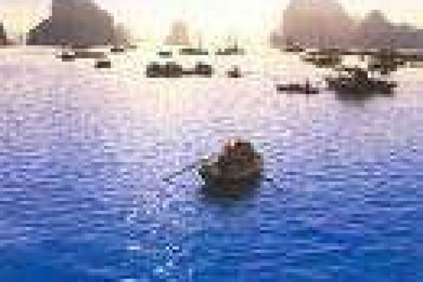 International community shows support for Ha Long bay