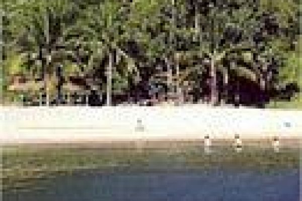 Cham island’s beauty attracts growing numbers of tourists