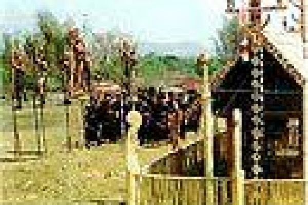 Customs and culture of the Central Highlanders