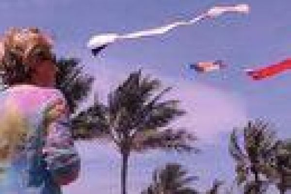 National kite flying contest attracts visitors