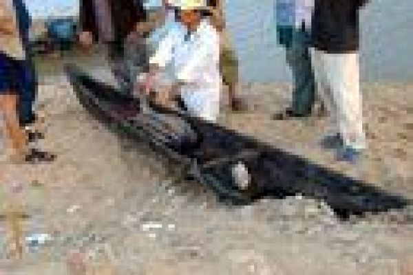 Ancient wooden boat retrieved in Phu Yen 