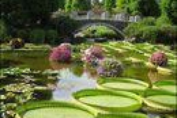 Winners of 2008 VYSA Photo Contest in Japan awarded