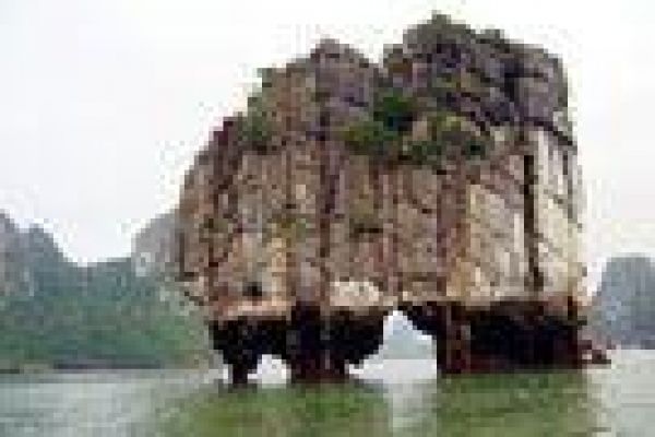 Ha Long Bay remains in voting for world natural wonders