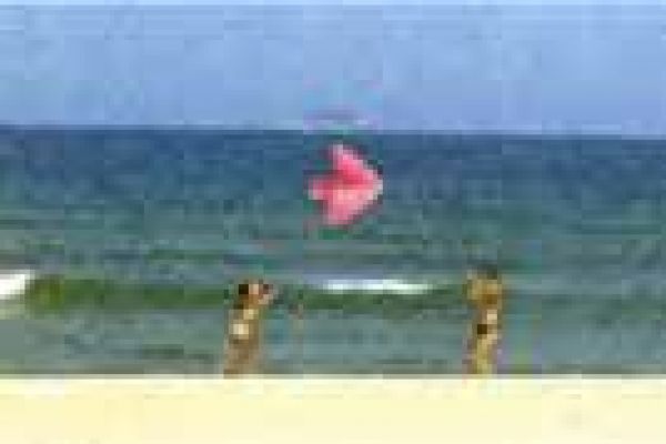 Hoi An hosts annual kite competition