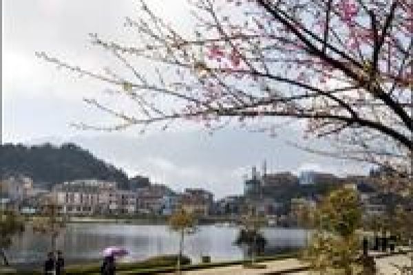 Sapa adapts to tourist demand 