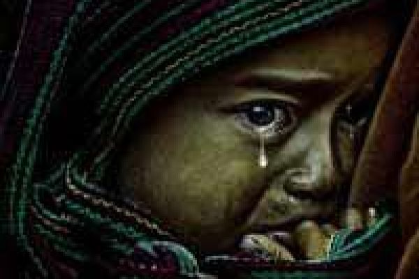 Vietnamese photographer wins international contest