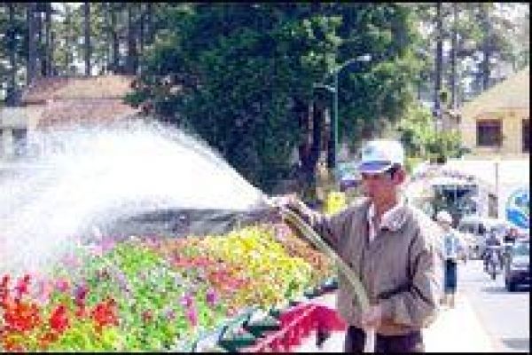 Diverse activities to be held in the 2007 Da Lat Flower Festival 