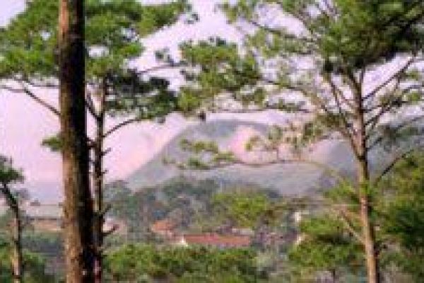 Da Lat to host wedding reception for 114 couples