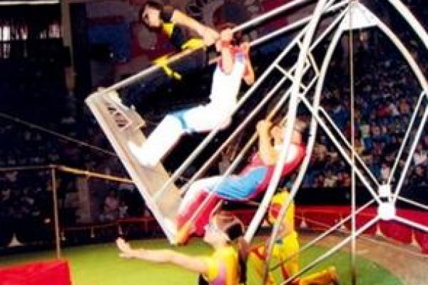 First international gold medals for Vietnamese circus 
