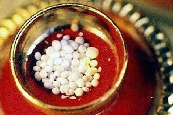 Grand procession of Lord Buddha’s relics to be held