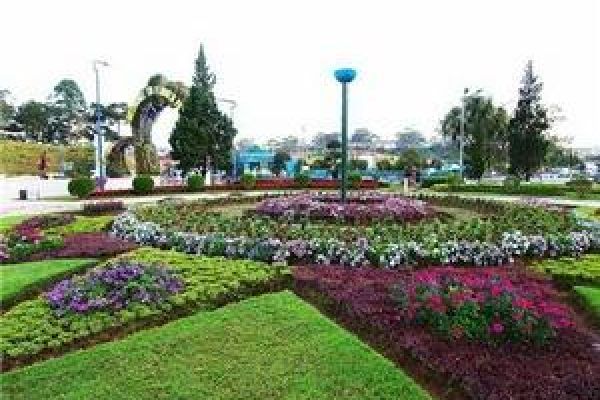 Da Lat Flower Festival 2010 opens