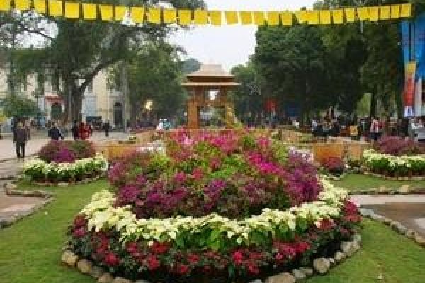 Flower power pulls crowds