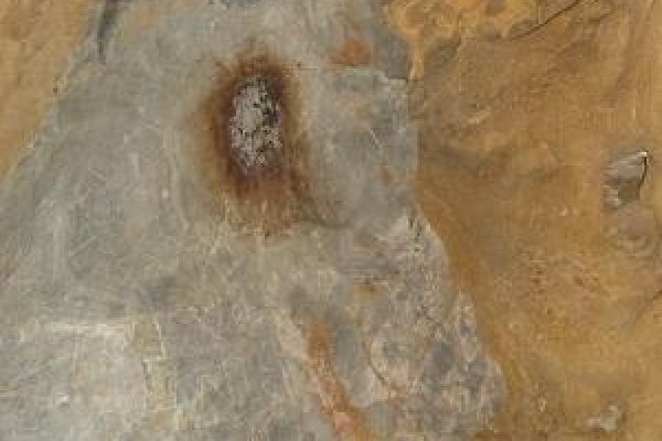 Fossils discovered in Tuyen Quang province 