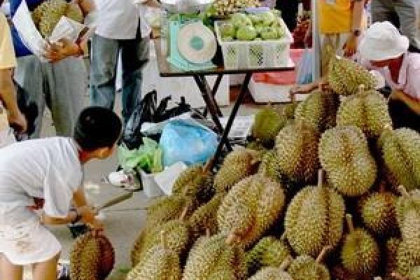 Fruit Festival opens in Ben Tre