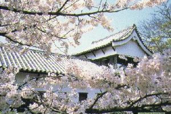 Fukuoka cultural days to be held in Hanoi