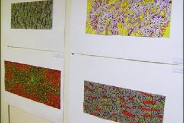 Exhibition of Vietnamese drawings held in France