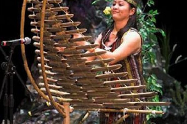 T’rung - The traditional folk-musical instrument