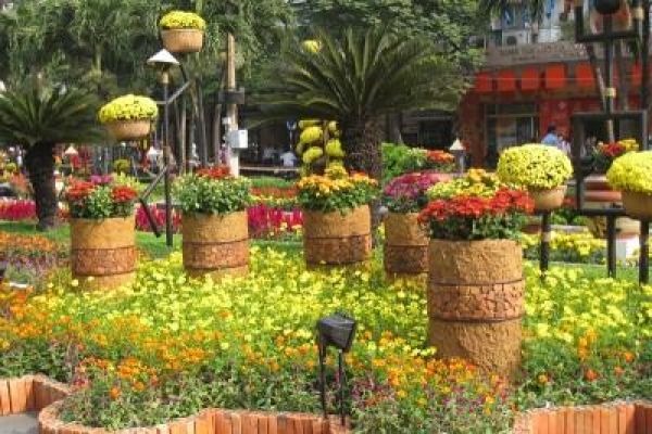 Spring Flower Fair opens in HCM City
