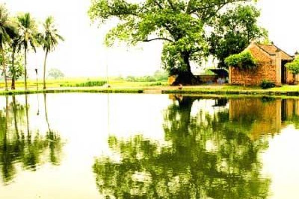 A Guide to the Countryside: The Traditional Village in Vietnam