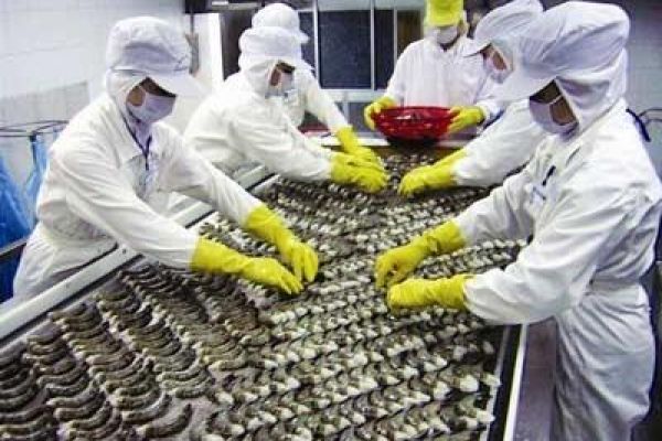 Shrimp exports hit record high of US$2 billion