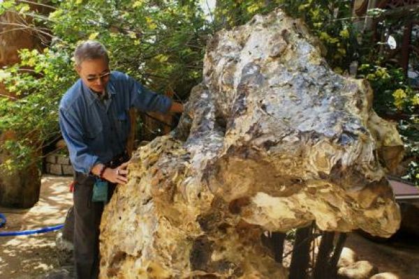 First museum of stone inaugurated in Vietnam