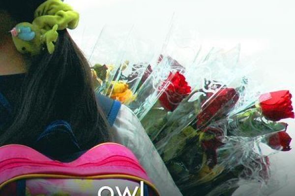 Vietnamese film to be screened in US cinemas