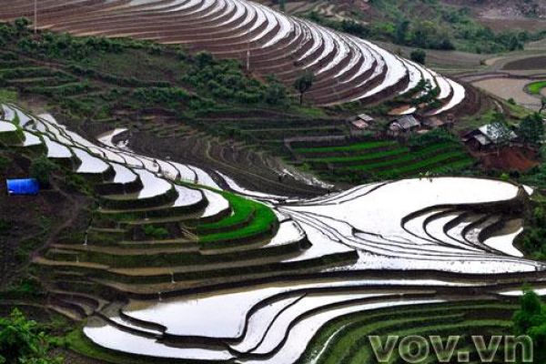3 famous rice paddy terraces explored 