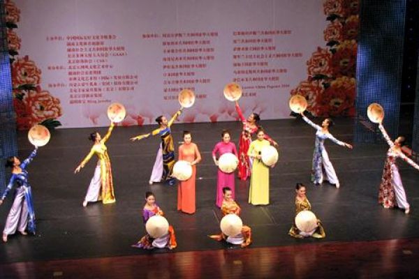 Vietnamese artists perform in China 