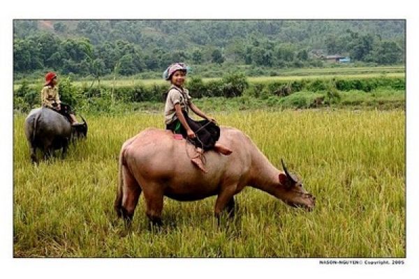 When should you visit Lai Chau? - Climate - Vietnam Overview - Travel Guide