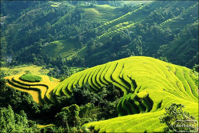 The lush green valley of Muong Hoa - Destinations in Vietnam - Vietnam ...